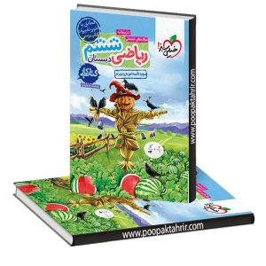 کتاب کار ریاضی ششم دبستان اثر هوشنگ علیمرادی انتشارات خیلی سبز 1401